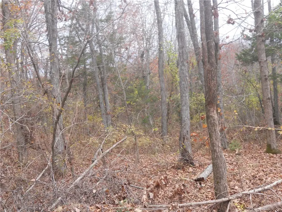 Nc 3510, Western Grove, AR 72685 - #3