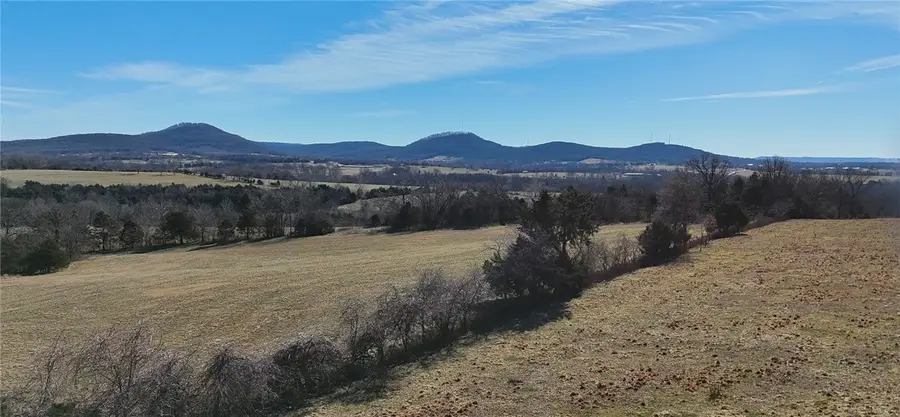 1395 County Road 403, Berryville, AR 72616 - #3