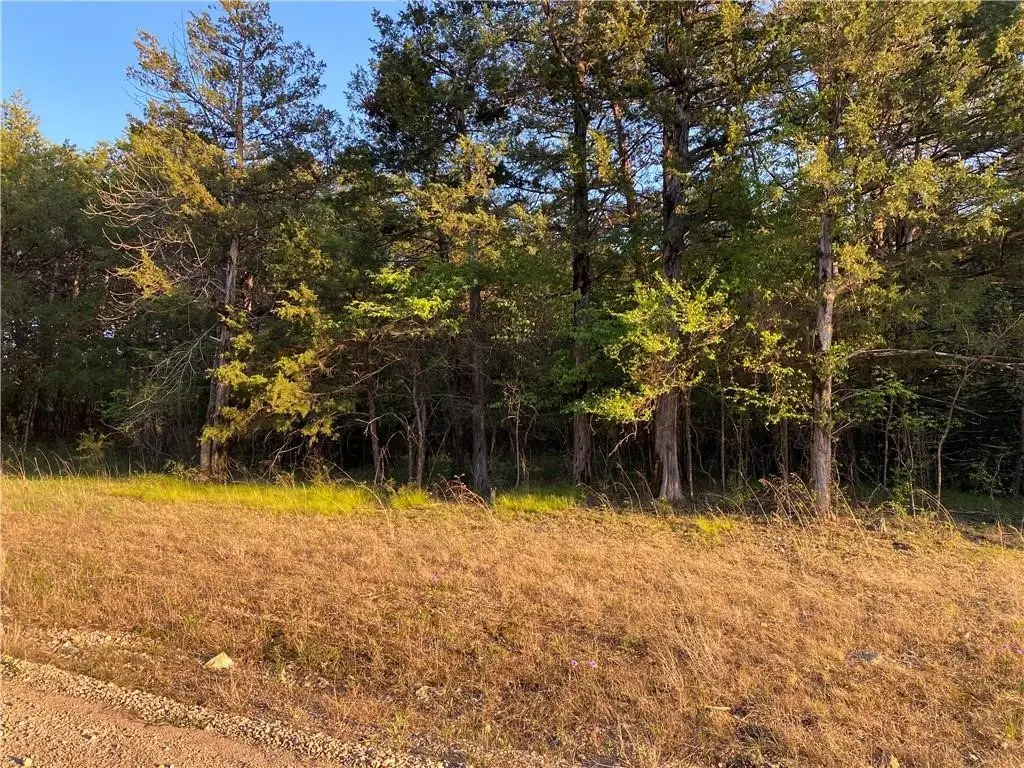 Lot 10 Greenwood Drive, Diamond City, AR 72644 - #1