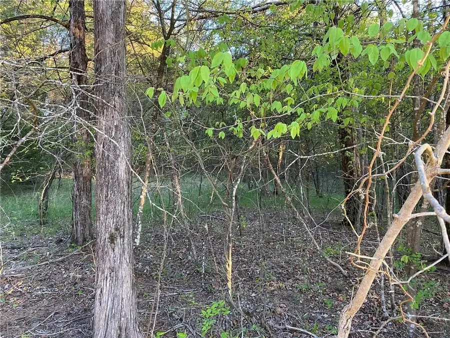 Lot 10 Greenwood Drive, Diamond City, AR 72644 - #3