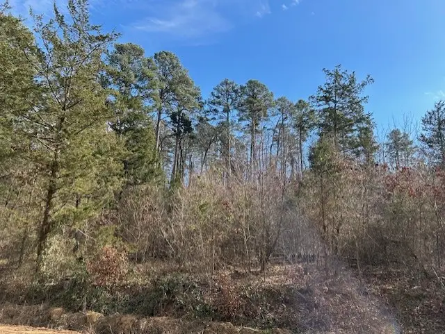 Moss Creek Road, Danville, AR 72833 - #2