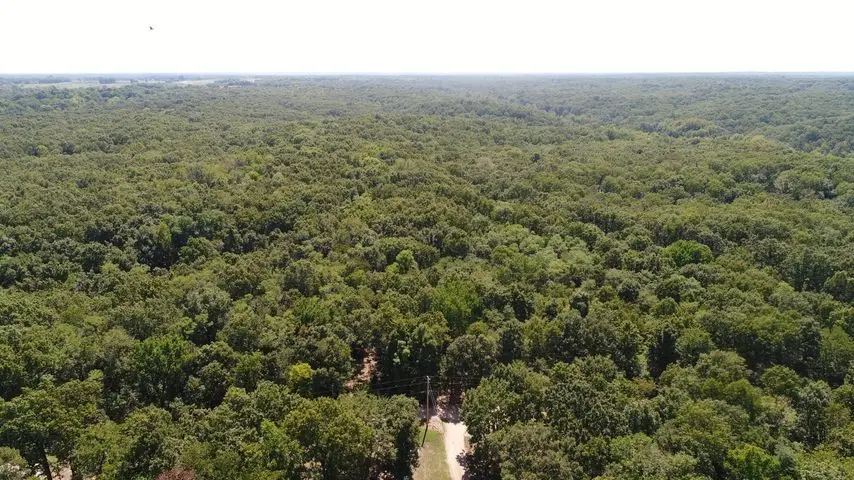 55600 E 319 Trail, Jay, OK 74346 - #3