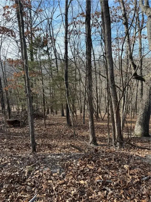 Lot 76 Shady Glen Road, Garfield, AR 72732 - #1