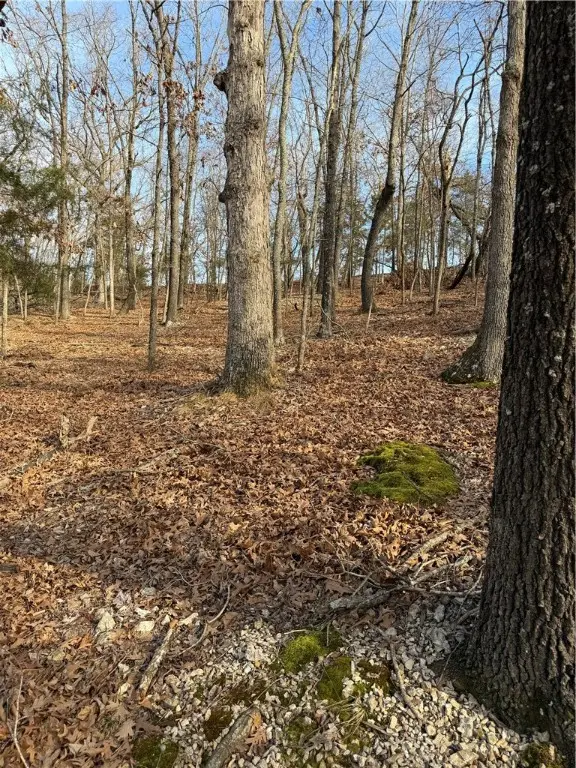 Lot 76 Shady Glen Road, Garfield, AR 72732 - #2