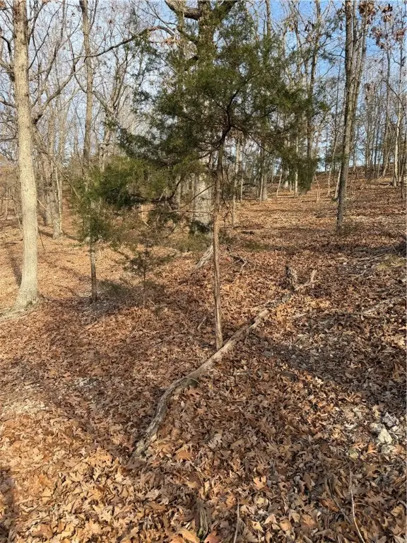 Lot 76 Shady Glen Road, Garfield, AR 72732 - #3