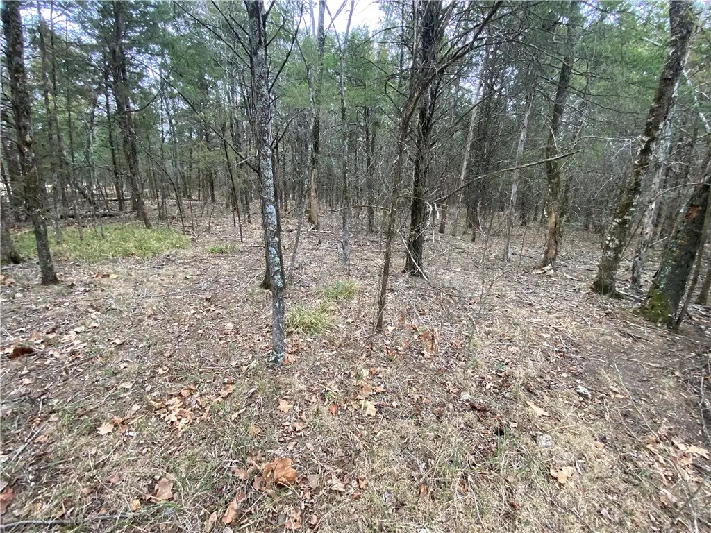 Pine Street, Diamond City, AR 72644 - #1