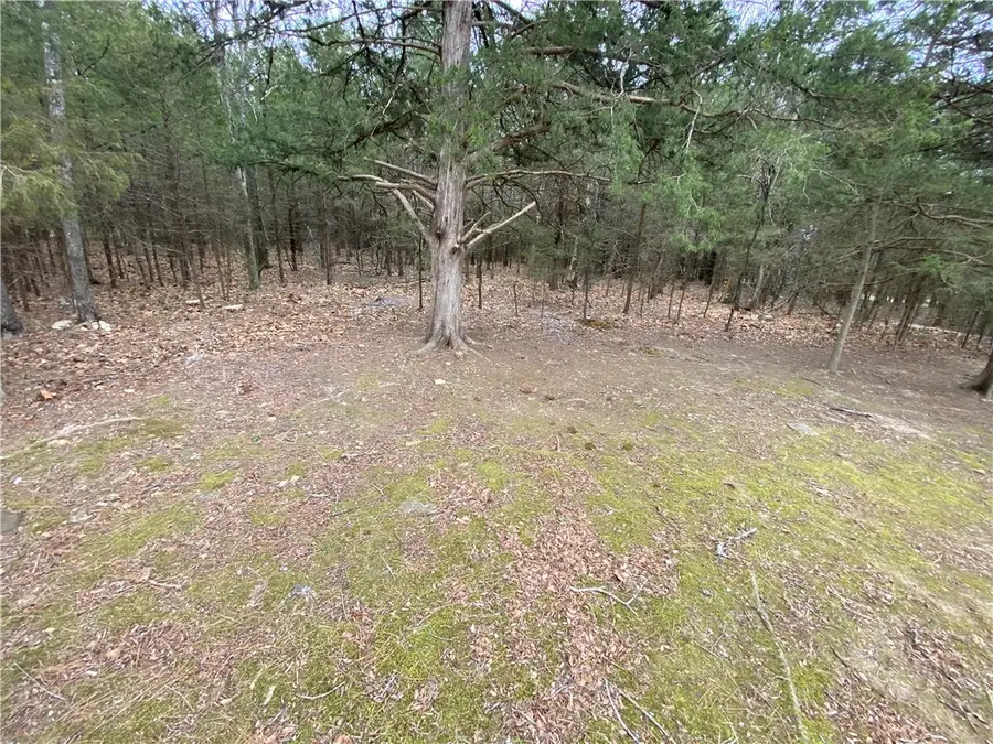 Pine Street, Diamond City, AR 72644 - #2