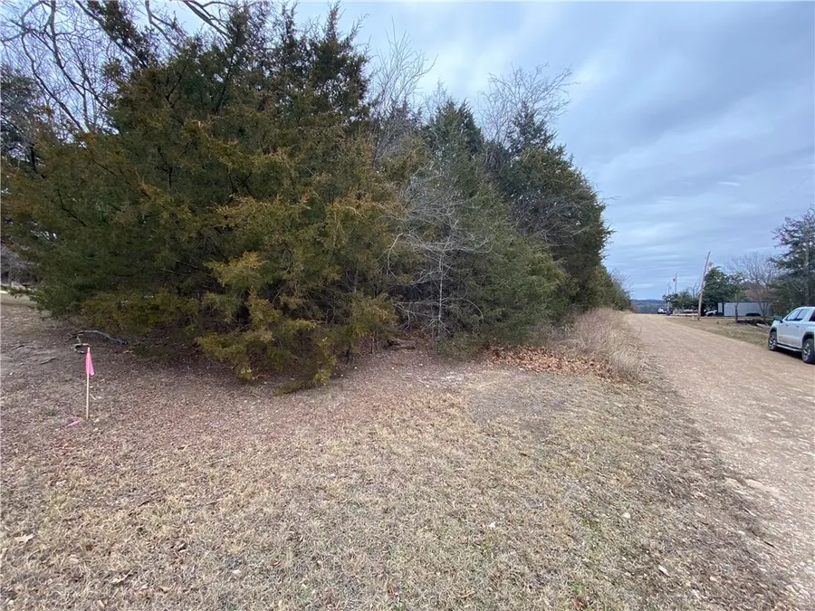 Pine Street, Diamond City, AR 72644 - #3