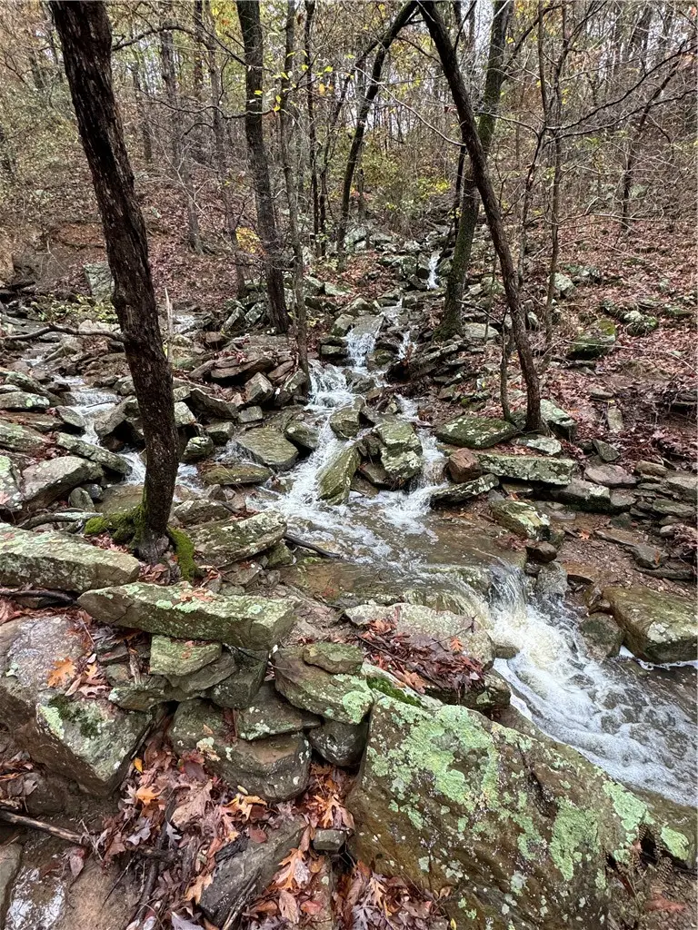 18995 Skylight Mountain Road, Canehill, AR 72717 - #2