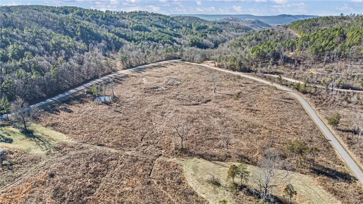 Tract 2 Booger Hollow Road, Dover, AR 72837 - #1