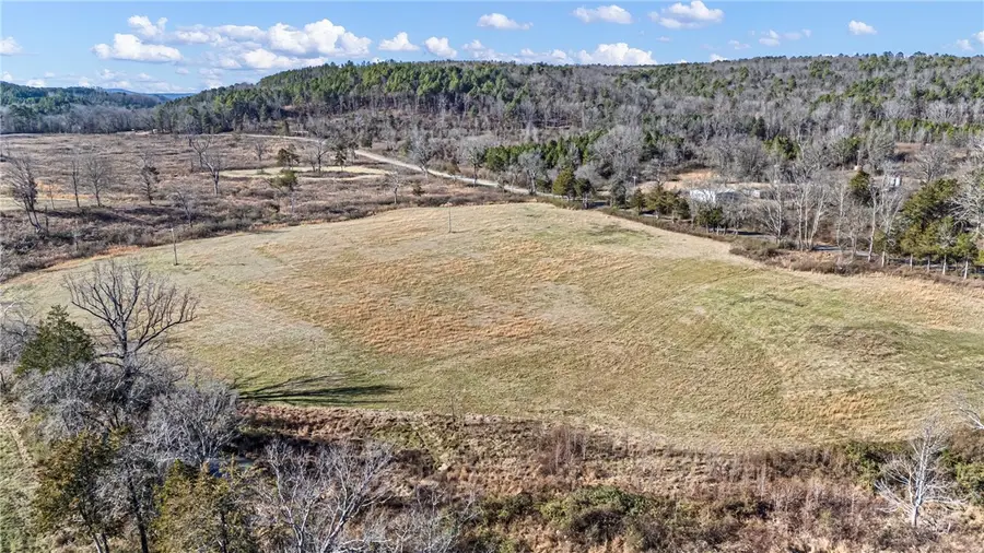 Tract 4 Booger Hollow Road, Dover, AR 72837 - #3
