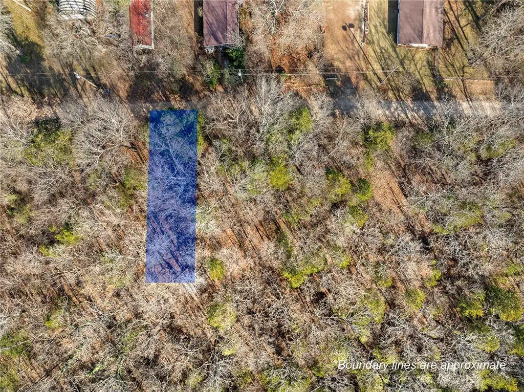Lot 21, L57, L58, L59 Fawn Street, Diamond City, AR 72644 - #1