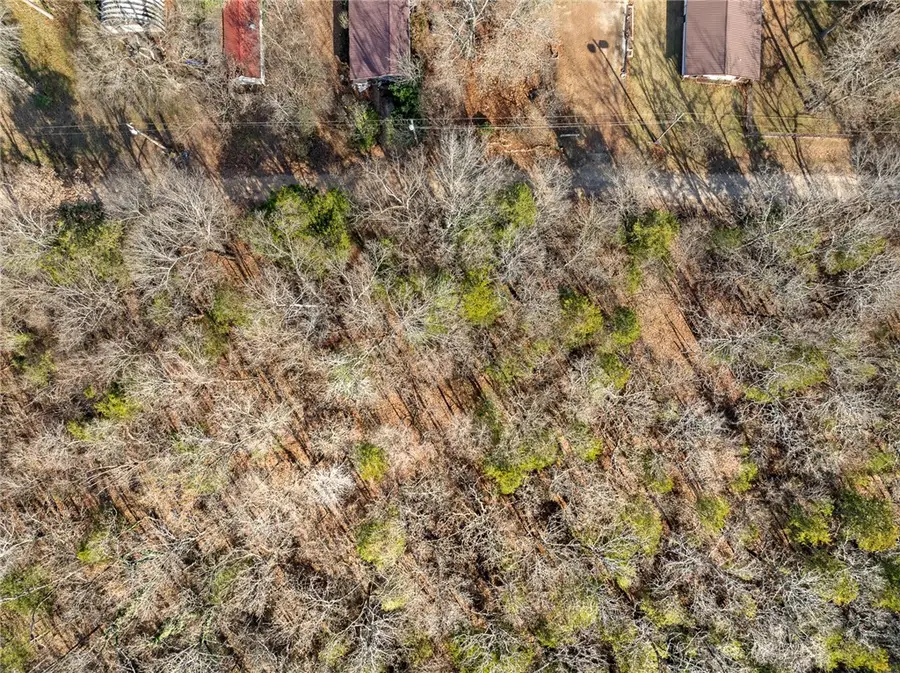 Lot 21, L57, L58, L59 Fawn Street, Diamond City, AR 72644 - #2