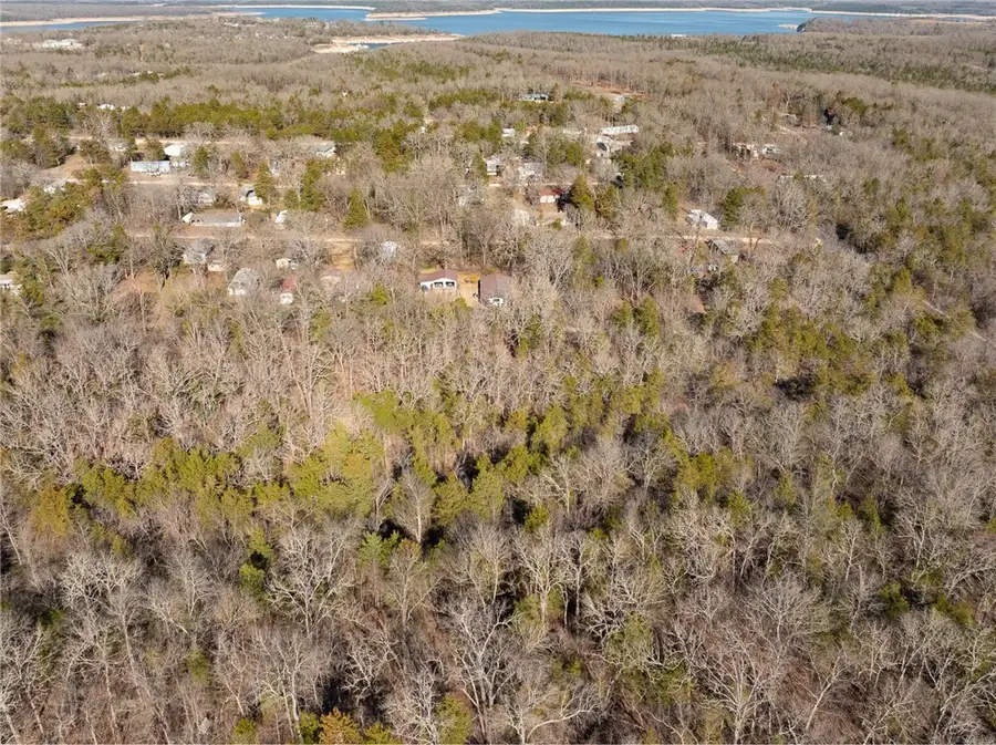 Lot 62 Fawn Street, Diamond City, AR 72644 - #3