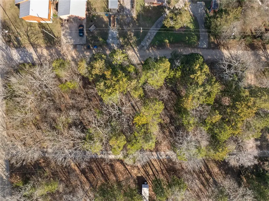 Lot 33 Fawn Street, Diamond City, AR 72644 - #3