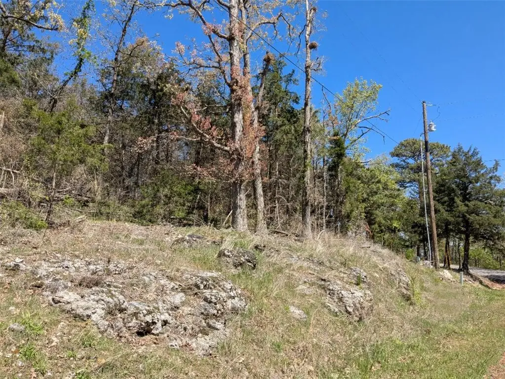 TBD Merion Drive, Holiday Island, AR 72631 - #1