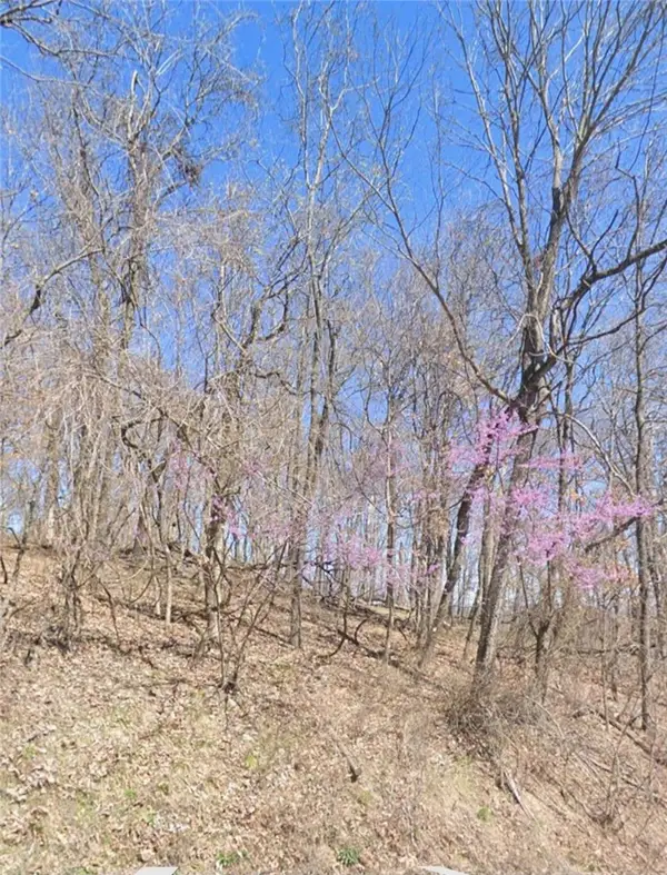 5.16 Acres Summit Drive, Holiday Island, AR 72631