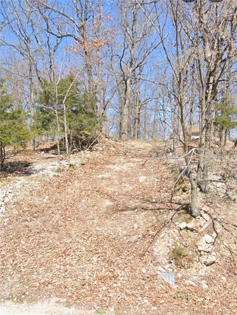 5.16 Acres Summit Drive, Holiday Island, AR 72631 - #2