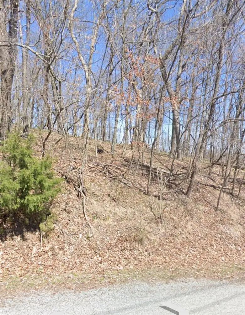 5.16 Acres Summit Drive, Holiday Island, AR 72631 - #3