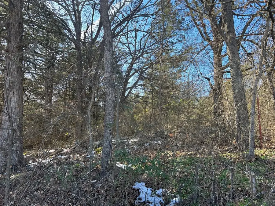 TBD Lake View Street, Lead Hill, AR 72644 - #3