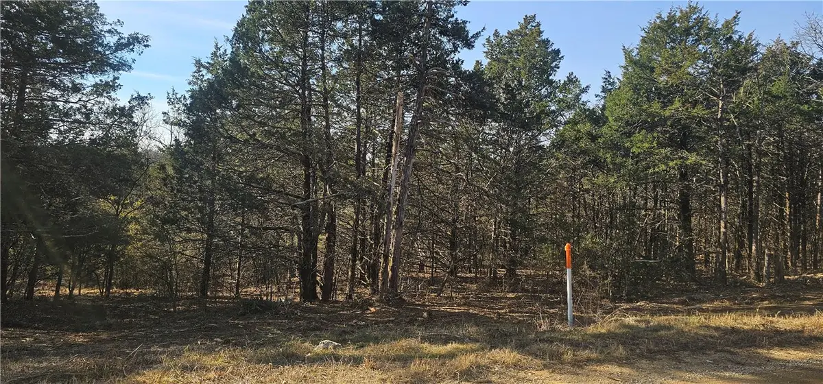 E Mockingbird Trail, Diamond City, AR 72630 - #1