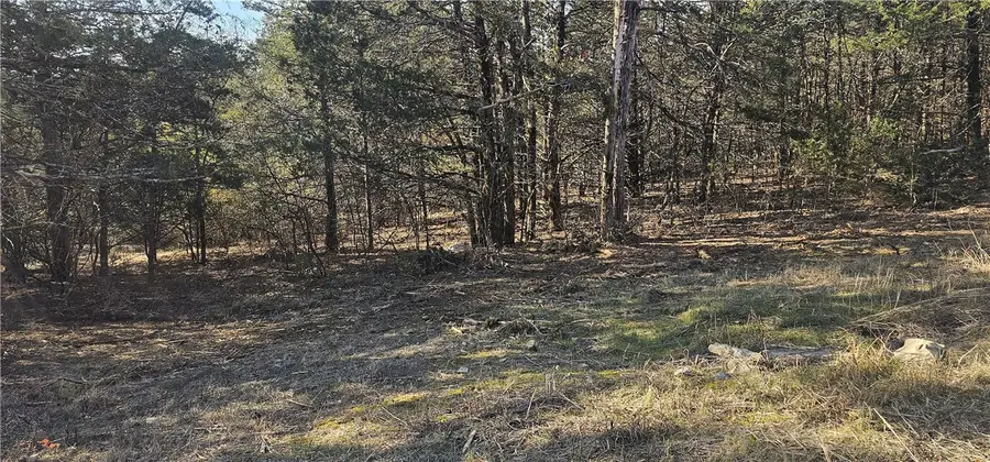 E Mockingbird Trail, Diamond City, AR 72630 - #2
