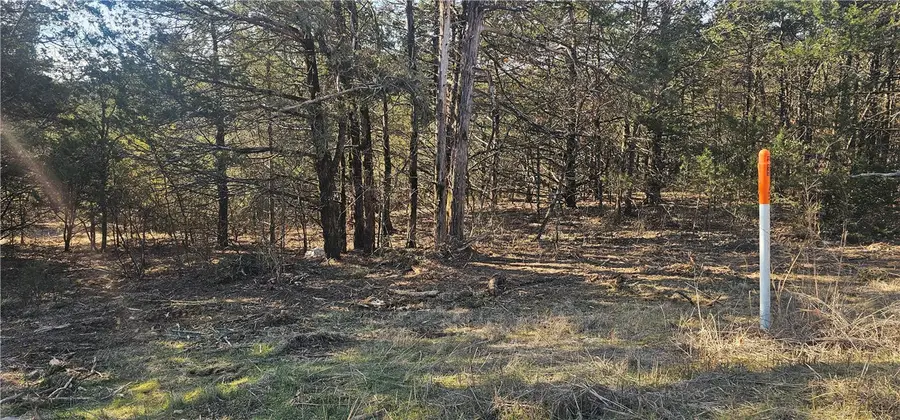 E Mockingbird Trail, Diamond City, AR 72630 - #3