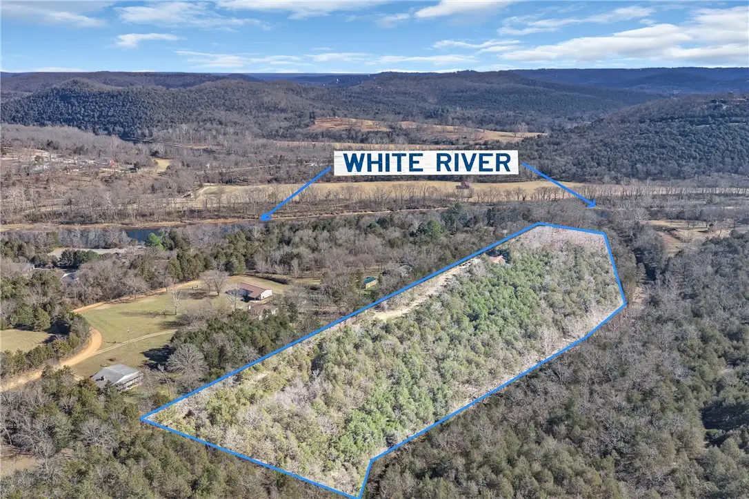 895 Flamingo Lane, Eureka Springs, AR 72631 - #1