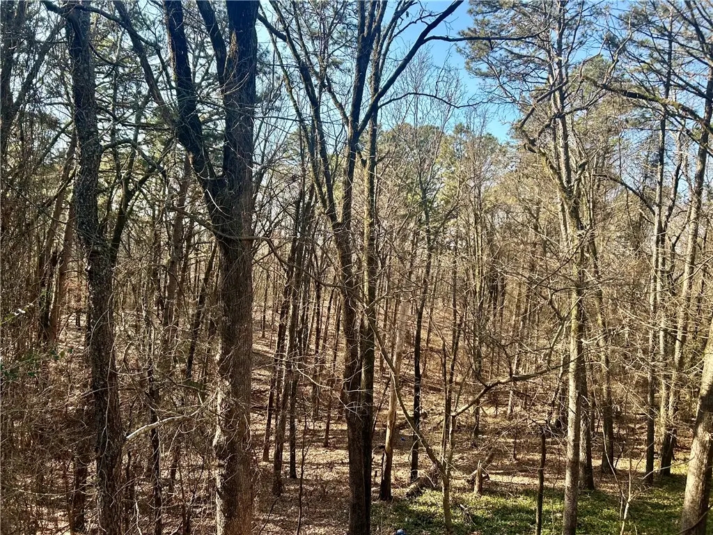 High Point Trail, Clarksville, AR 72830 - #1