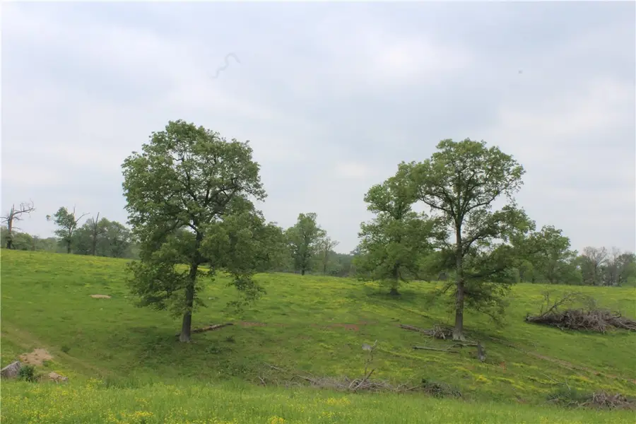 2482 Rocky Comfort Road, Gentry, AR 72734 - #2