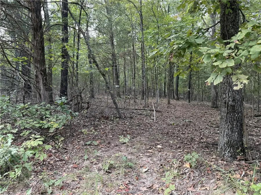 Lower Place Drive, Lead Hill, AR 72644 - #2