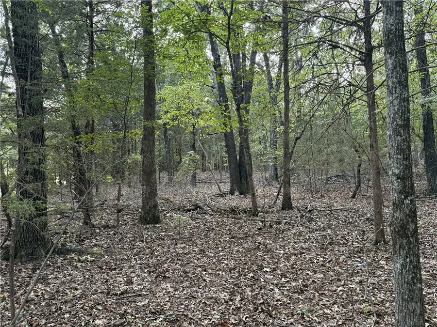 Lower Place Drive, Lead Hill, AR 72644 - #3