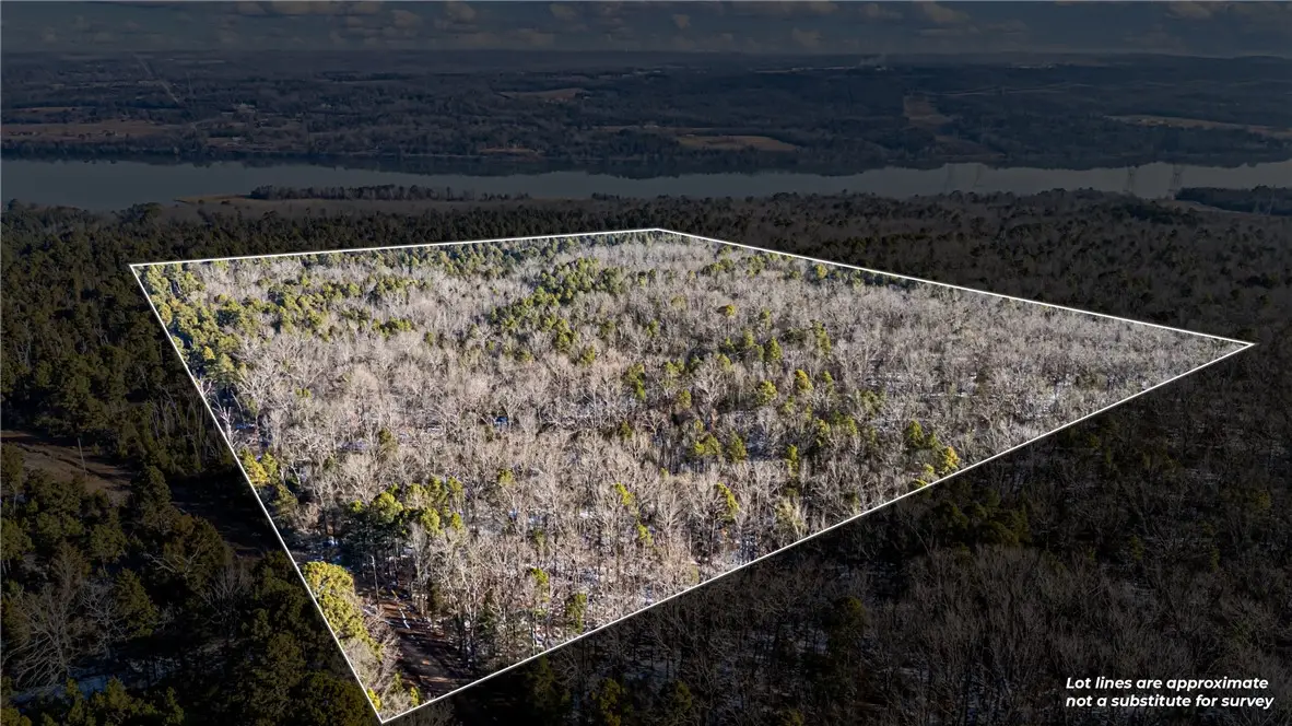 40 Acre, Delaware, AR 72835 - #1