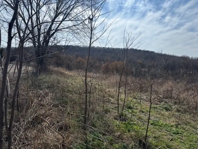 13243 Nicewarner Road, Lincoln, AR 72744 - #3