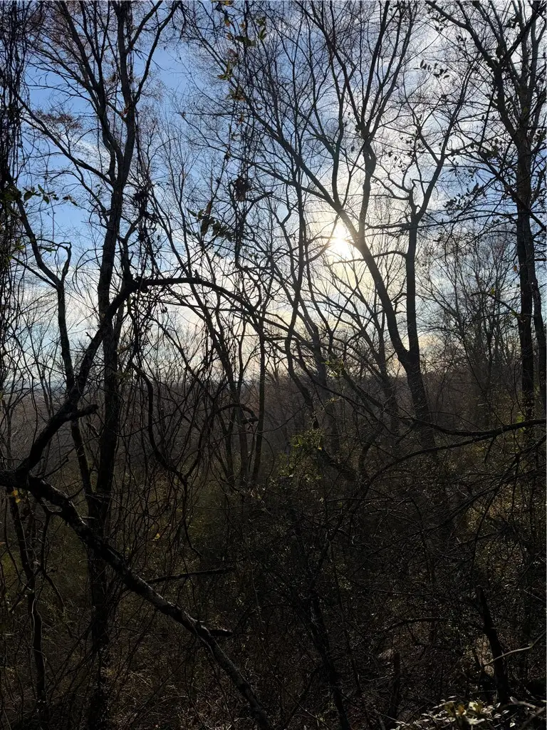 Brown Road, Morrilton, AR 72110 - #2