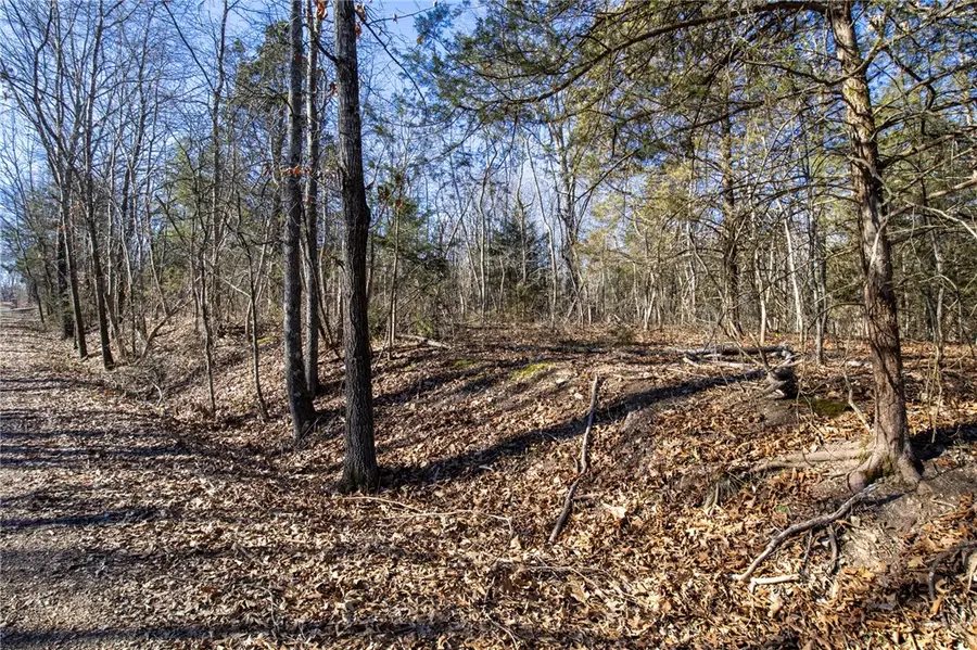 22 Granshire Circle, Bella Vista, AR 72714 - #2