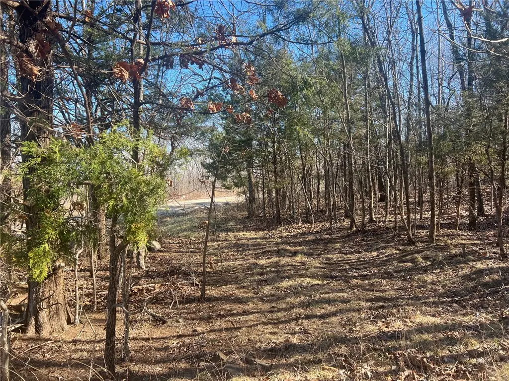 TBD Nc 6277, Jasper, AR 72641 - #1