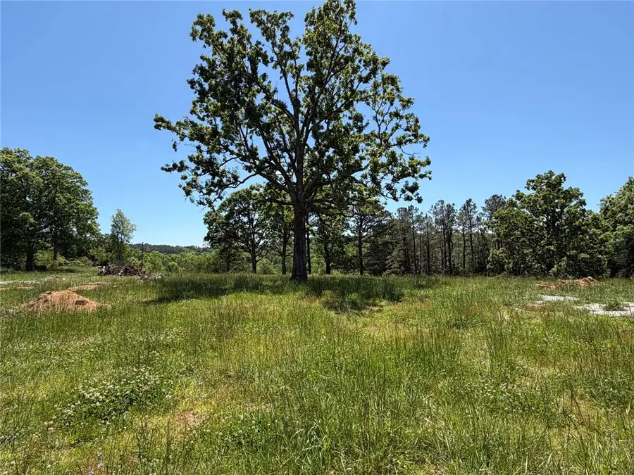 49 Nc 8218, Jasper, AR 72641 - #2