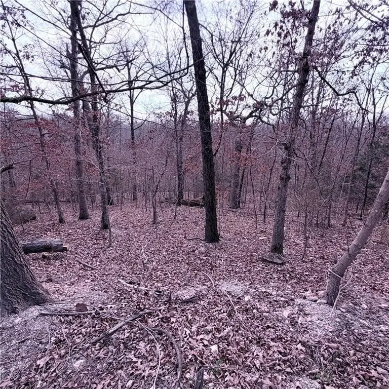 Lot 12 & 13 Hoyer Lane, Bella Vista, AR 72714 - #1