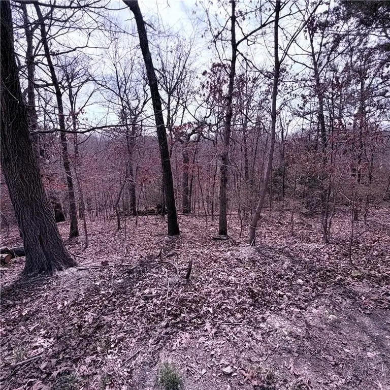 Lot 12 & 13 Hoyer Lane, Bella Vista, AR 72714 - #3