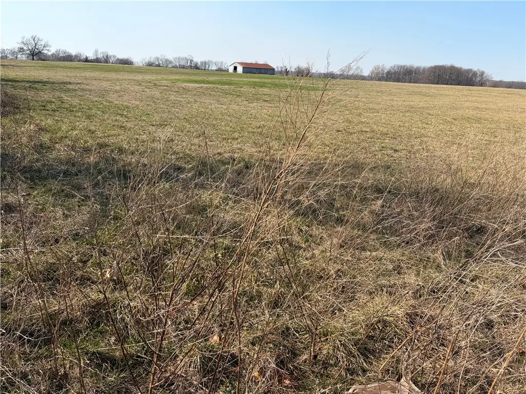 Curtis Street, Lincoln, AR 72744 - #1