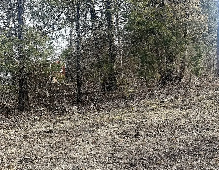 2 LOTS Short Street, Diamond City, AR 72644 - #2