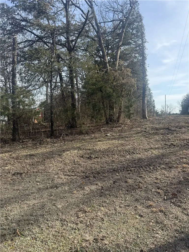 2 LOTS Short Street, Diamond City, AR 72644 - #3