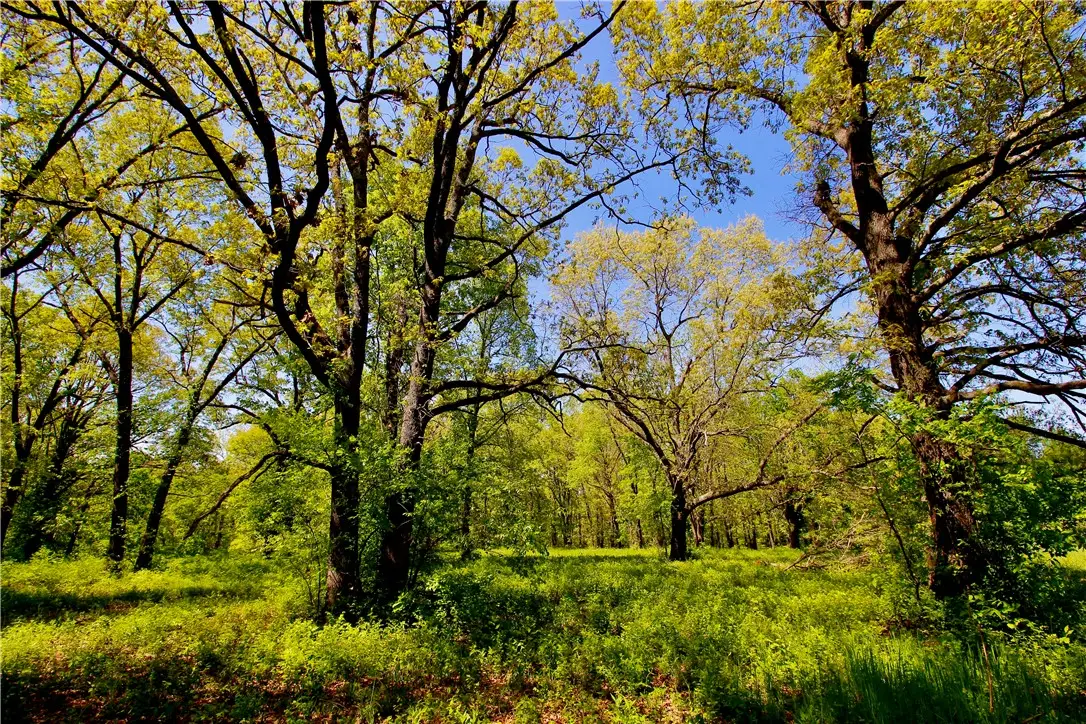 00 Garner Lane, Berryville, AR 72616 - #1