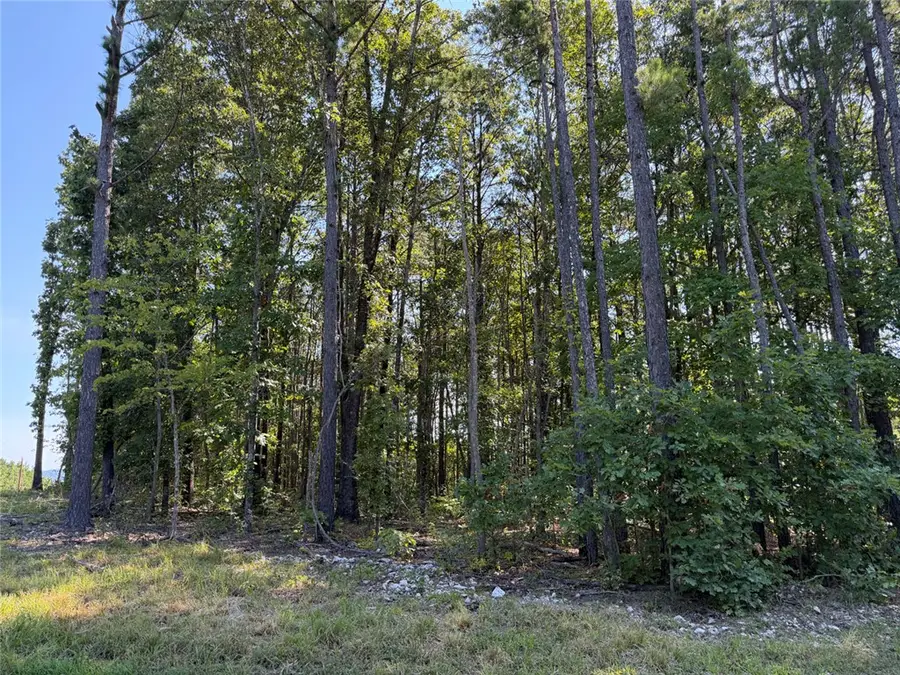 TBD Nc 3050, Jasper, AR 72641 - #2