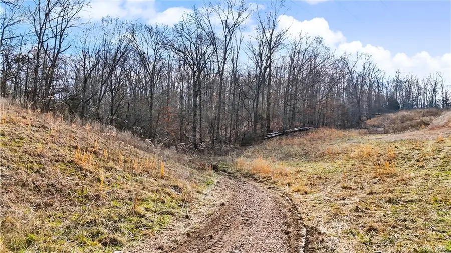Coose Hollow Drive, Garfield, AR 72732 - #2