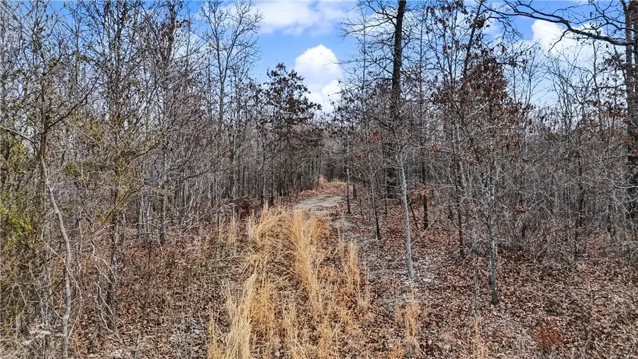 Coose Hollow Drive, Garfield, AR 72732 - #3