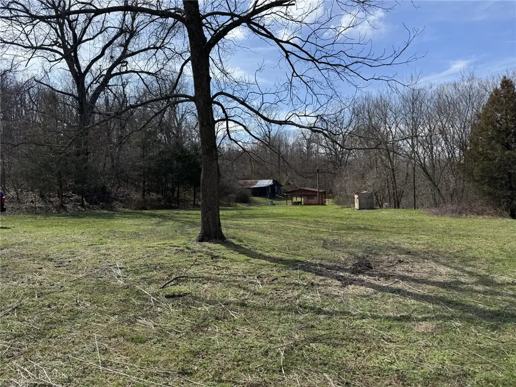 421 Farm Road 2160, Exeter, MO 65647 - #1