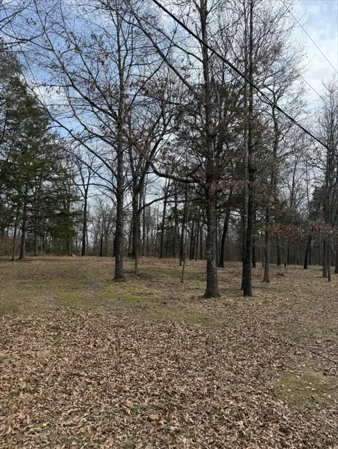 42 Douglas Cove, Lead Hill, AR 72644