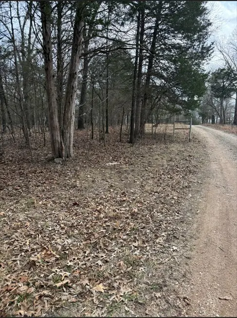 42 Douglas Cove, Lead Hill, AR 72644 - #3